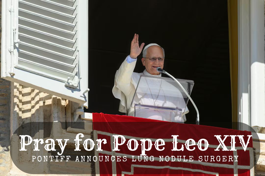 Pray for Pope Leo XIV as the Pope greets the faithful from the Apostolic Palace window
